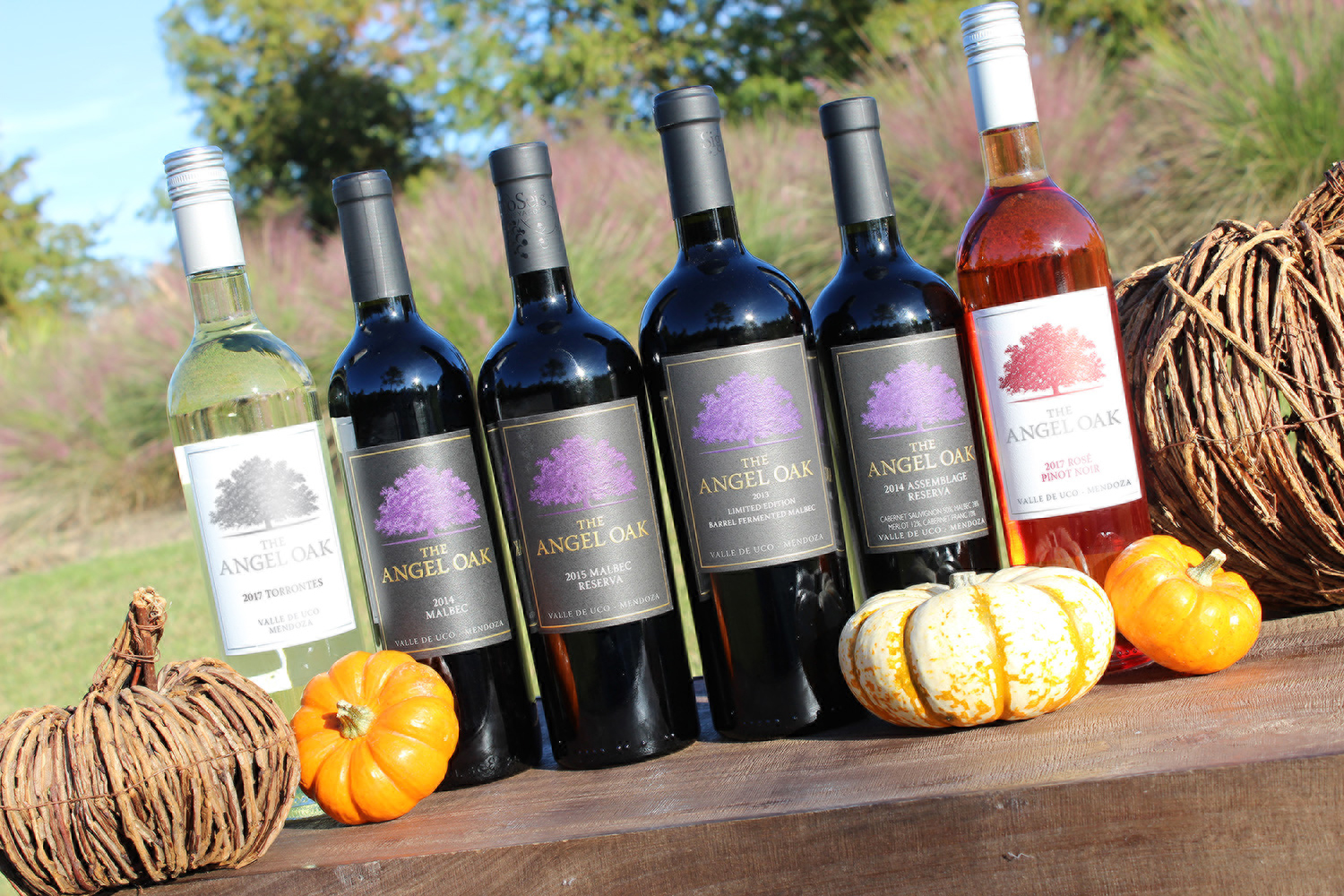 A lineup of The Angel Oak Torrontes, Malbec, Reserva and Rosé bottles